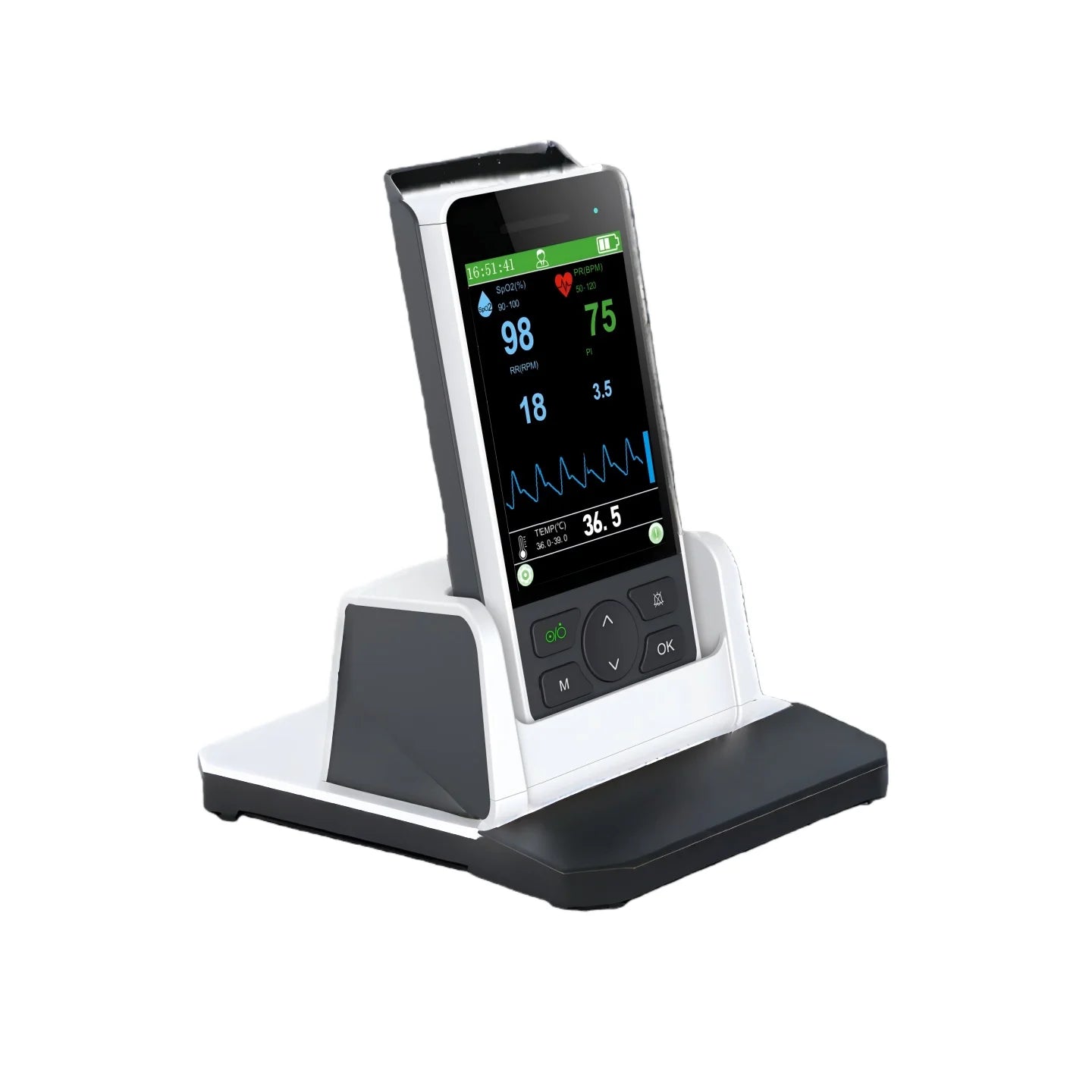 Portable blood oxygen saturation monitor